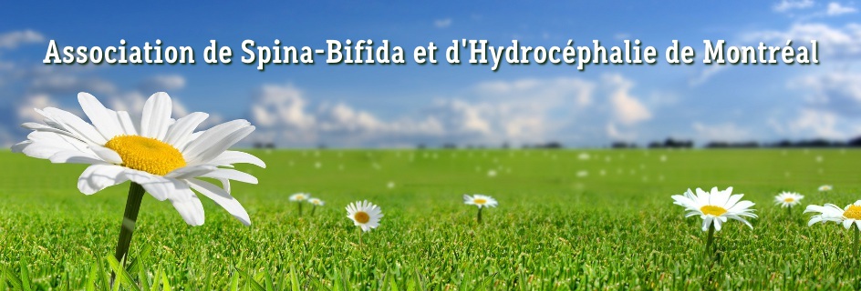 Association de Spina-Bifida et d'Hydrocéphalie de Montréal (ASBHRM)